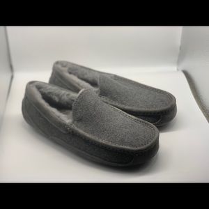 UGG Ascot Slipper Grey Wool